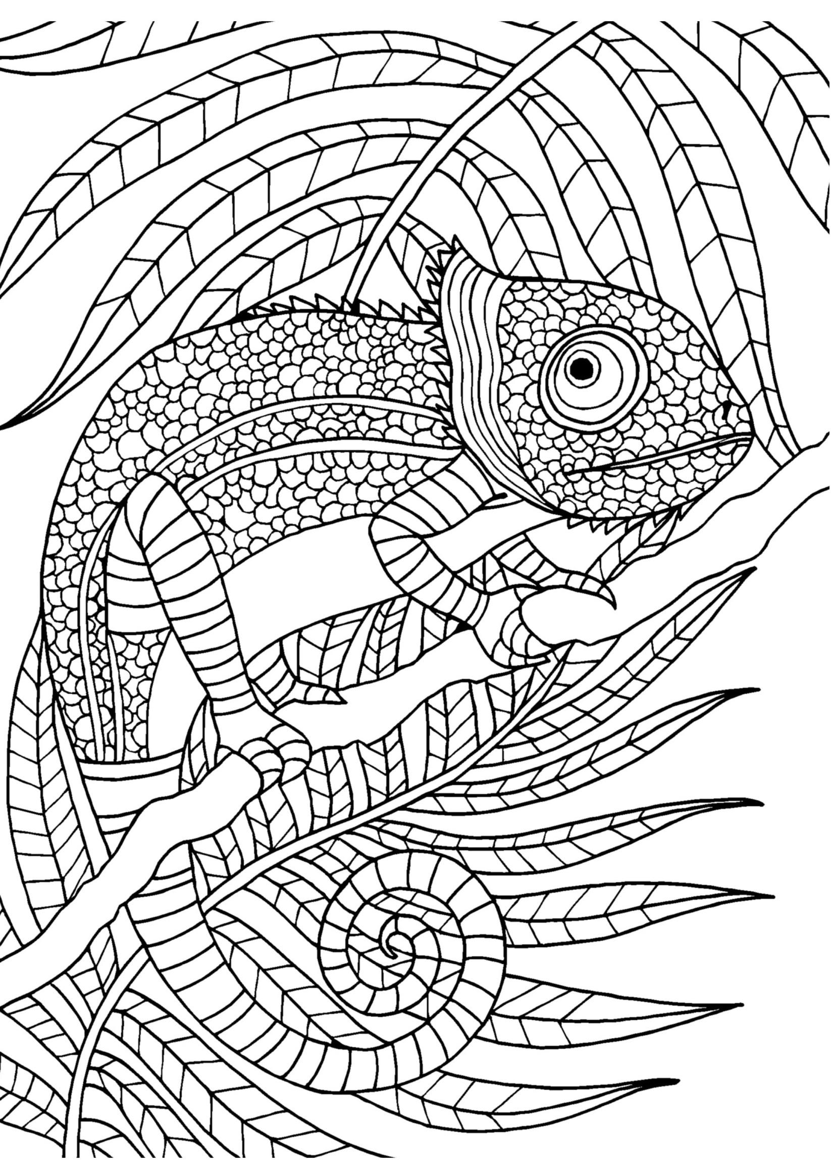 Camo Coloring Pages at GetDrawings | Free download