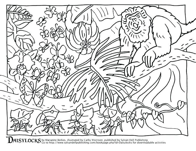 792x612 Camouflage Coloring Pages