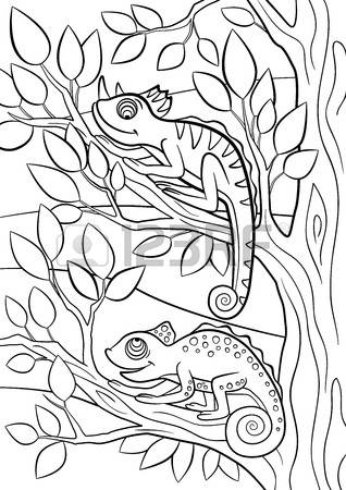 318x450 Camouflage Coloring Page Color Bros