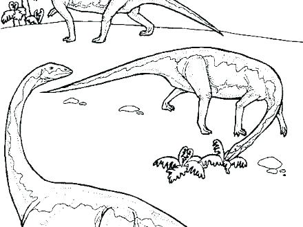 440x330 Camouflage Coloring Pages Camouflage Coloring Pages Wildlife