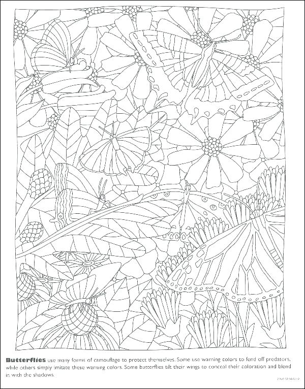 600x766 Camouflage Coloring Pages Hidden Pictures Coloring Pages