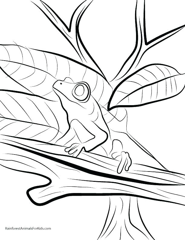 612x792 Endangered Species Coloring Pages Camouflage Coloring Pages