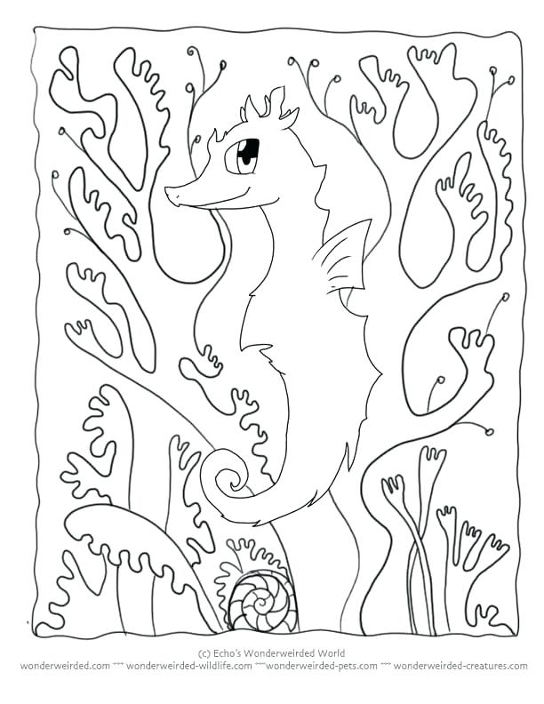 612x792 Stunning Camouflage Coloring Pages Animal Camouflage Coloring Page