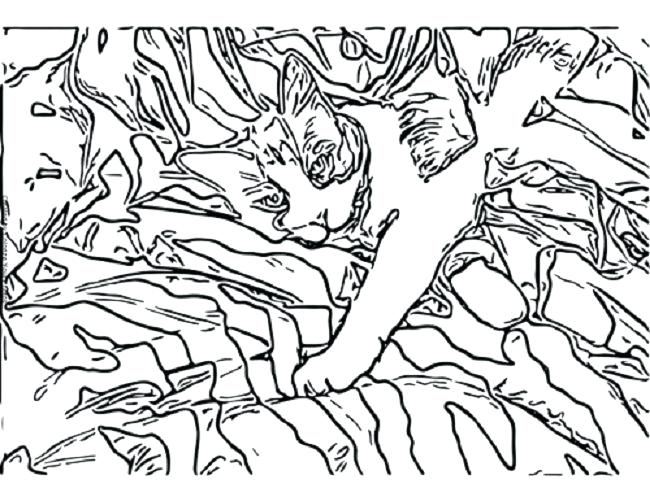 650x501 Camo Skylanders Coloring Pages