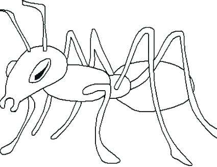 425x326 Camping Coloring Pages Pdf Camping Coloring Page Camping Colouring