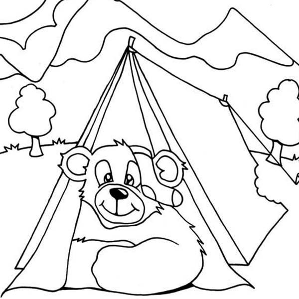 600x600 Bear Get In Camping Tent Coloring Page Coloring Sun