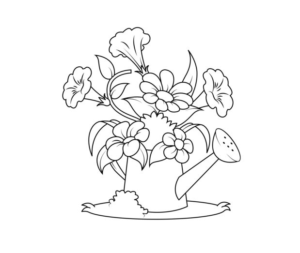 619x523 Watering Can Coloring Page Drawing Board Weekly