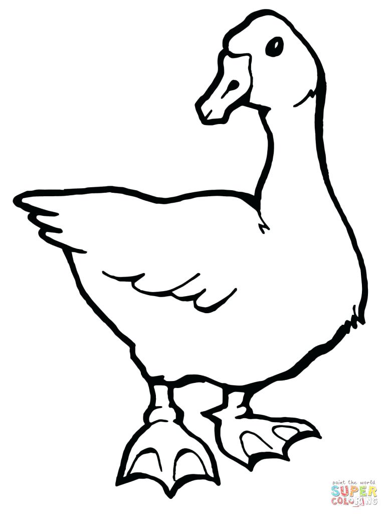 768x1024 Goose Coloring Page
