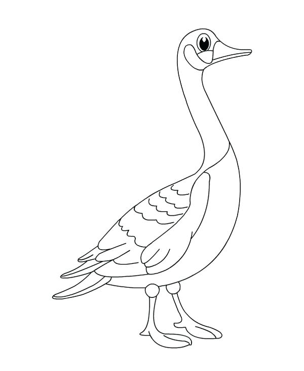 600x731 Goose Coloring Page Coloring Pages Goose Mother Goose Club