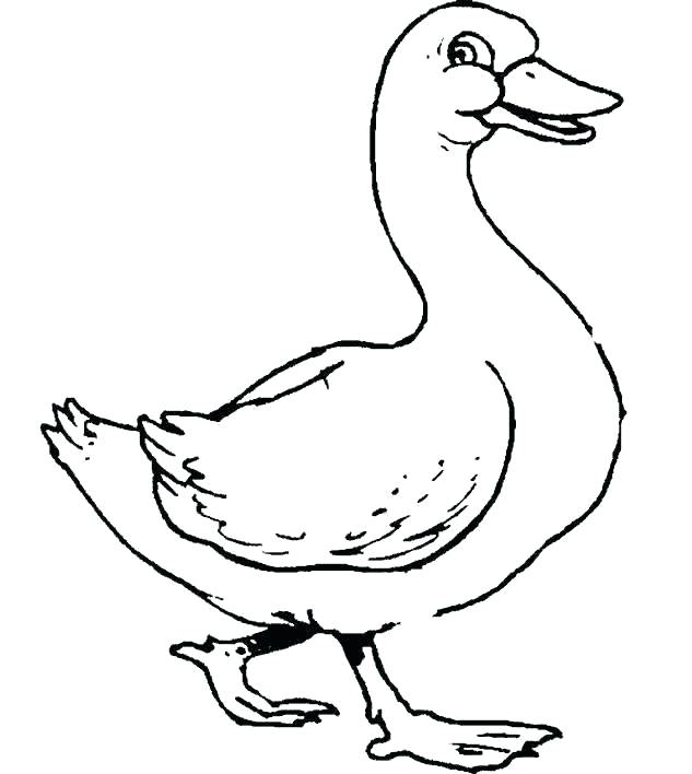 633x708 Goose Coloring Page Goose Coloring Page Canada Goose Coloring Page