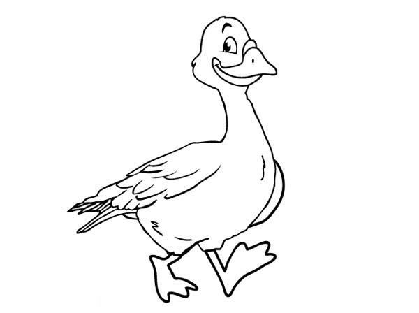 600x448 Goose Walking Coloring Page