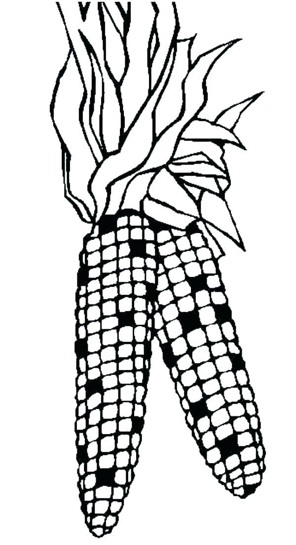 600x1106 Halloween Candy Coloring Pages Corn Coloring Pages Cornucopia
