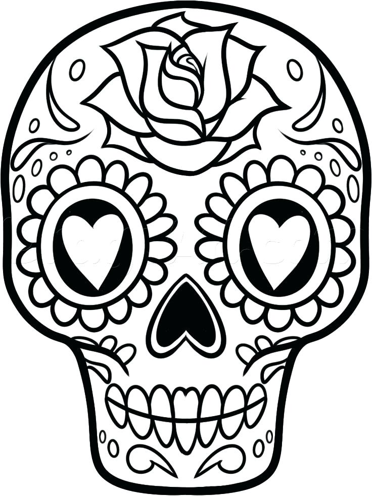 736x981 Skull Coloring Pages Sugar Skull Drawn Pencil And In Color Sugar