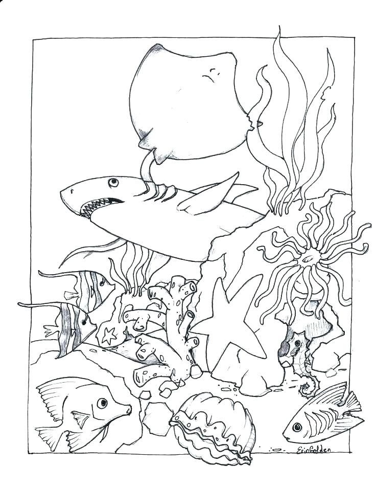 736x954 Ocean Scene Coloring Page Ocean Scene Coloring Page Breathtaking