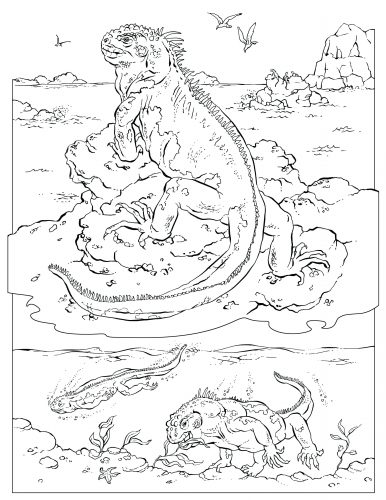386x500 Coloring Page National Geographic Coloring Pages National