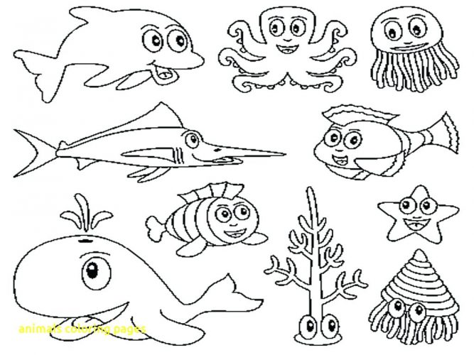 667x500 Coloring Page Rainforest Animals Coloring Pages Extraordinary
