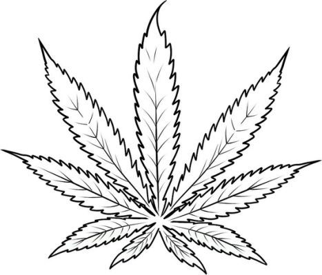 467x399 Pot Leaf Coloring Pages Art