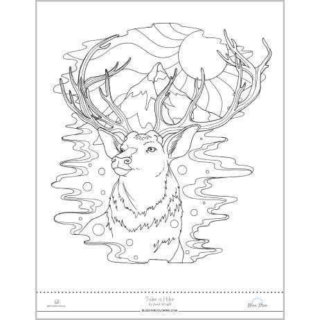 462x462 Coloring Page Buck