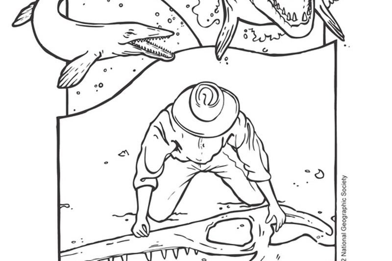 800x532 Coloring Pages