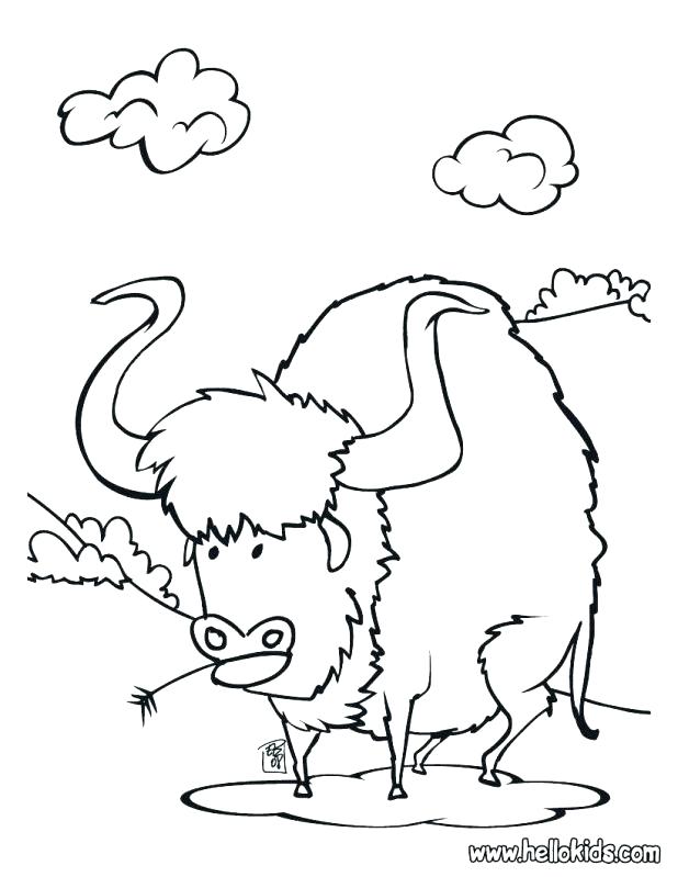 618x799 Buffalo Coloring Page Click To See Printable Version Of Buffalo