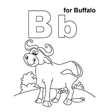 230x230 Top Free Printable Buffalo Coloring Pages Online