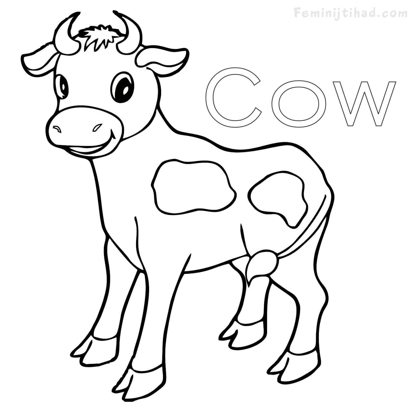1575x1575 Stunning Zebu Animal Coloring Spiderman Colouring Page Hello Kitty
