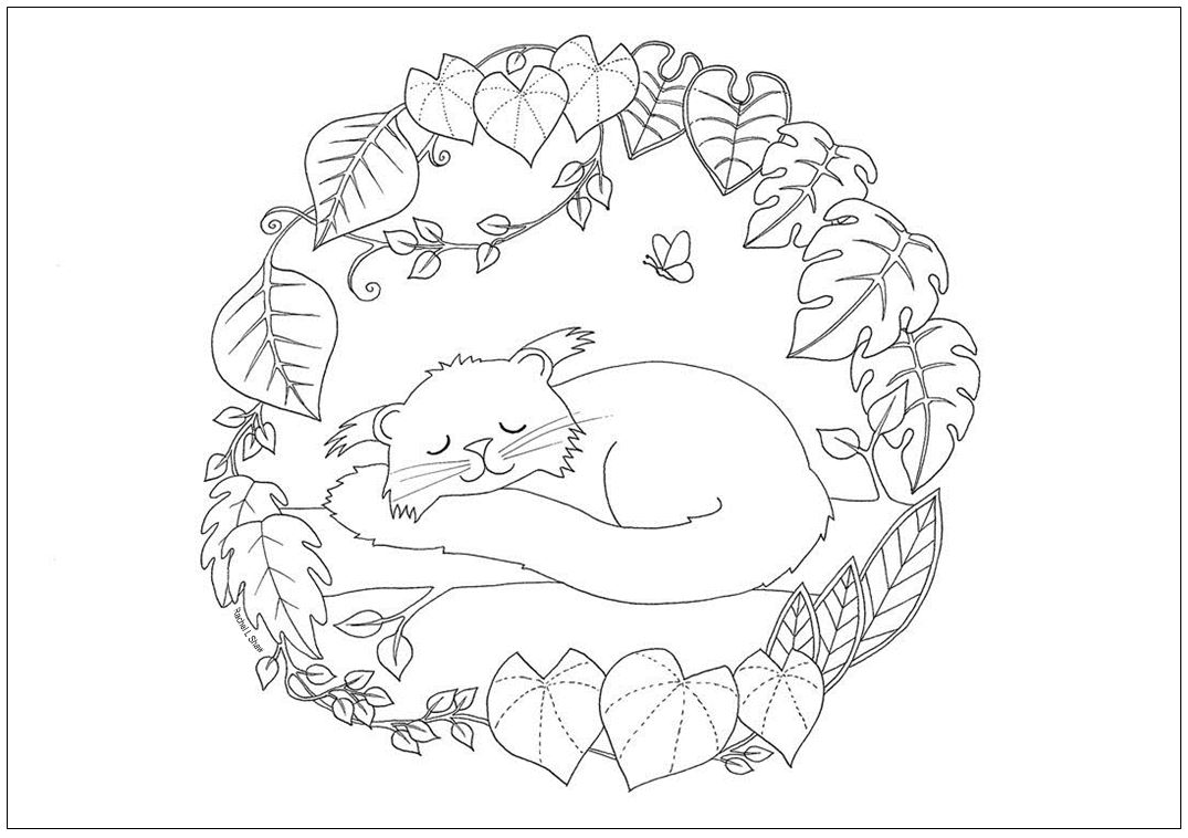 1075x758 Colouring Page Rachel L Shaw