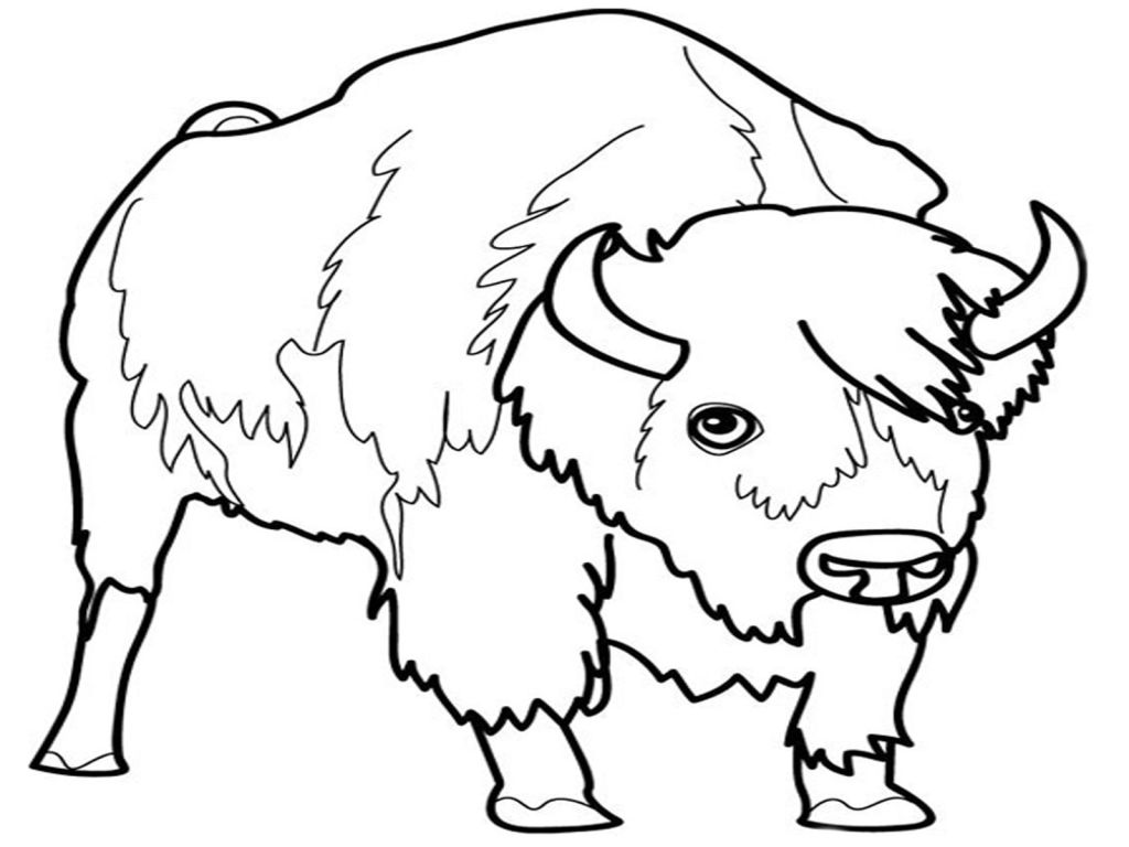 Carabao Coloring Pages at GetDrawings | Free download