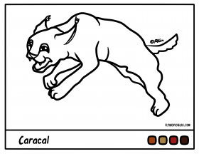 280x216 Caracal Kittens Coloring Page Free Printable Coloring Pages