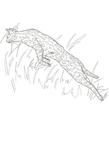 360x480 Leaping Serval Jumping Style Coloring Page