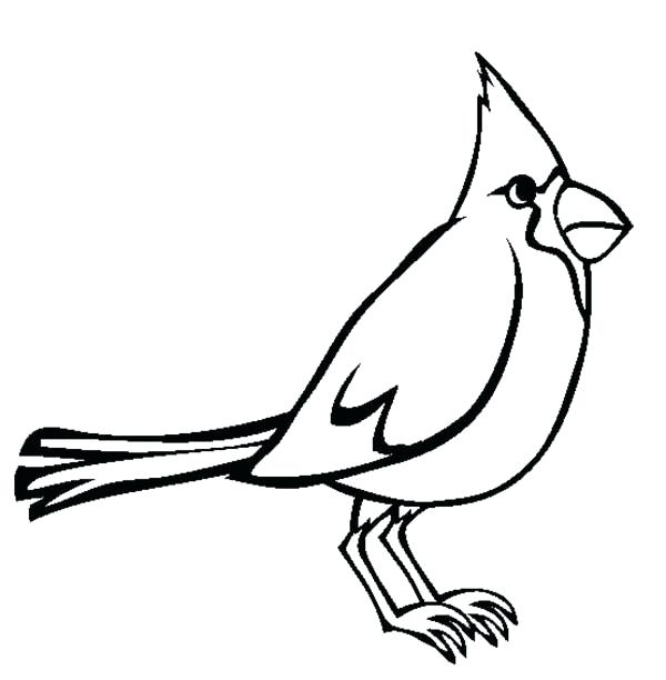 600x612 Cardinal Bird Coloring Page Printable Sound Of Sun