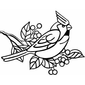 300x300 Angry Cardinal Bird Coloring Page