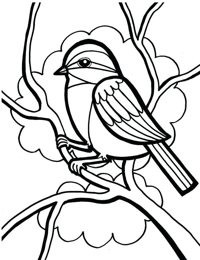 757x985 Northern Or Football Helmet Bird Cardinals Coloring Pages Cardinal