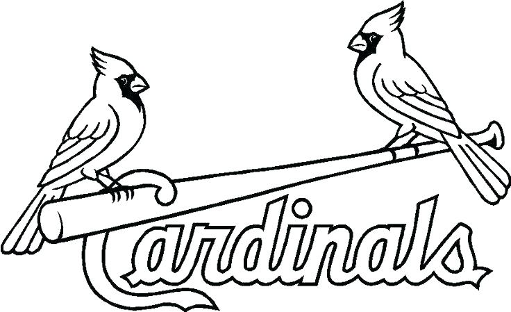 736x449 Cardinal Bird Coloring Page