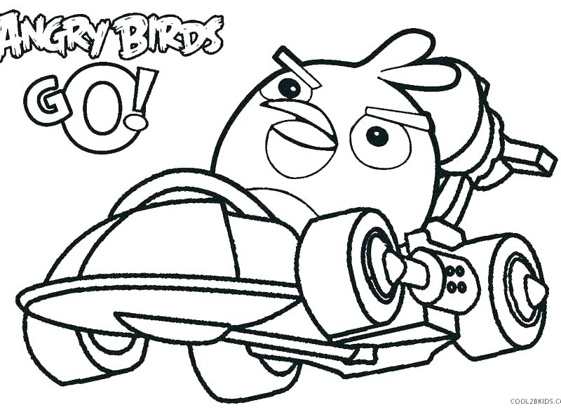 800x584 Bird Color Page Bird Color Page Bird Color