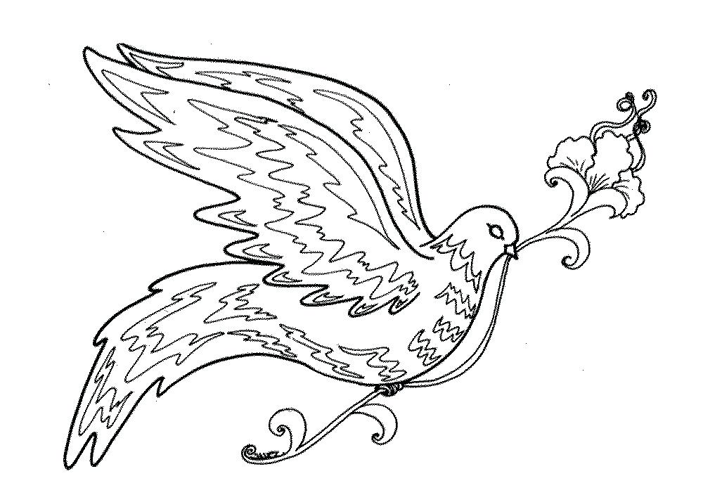 1000x714 Cardinal Coloring Pages Coloring Bird Coloring Pages For Adults