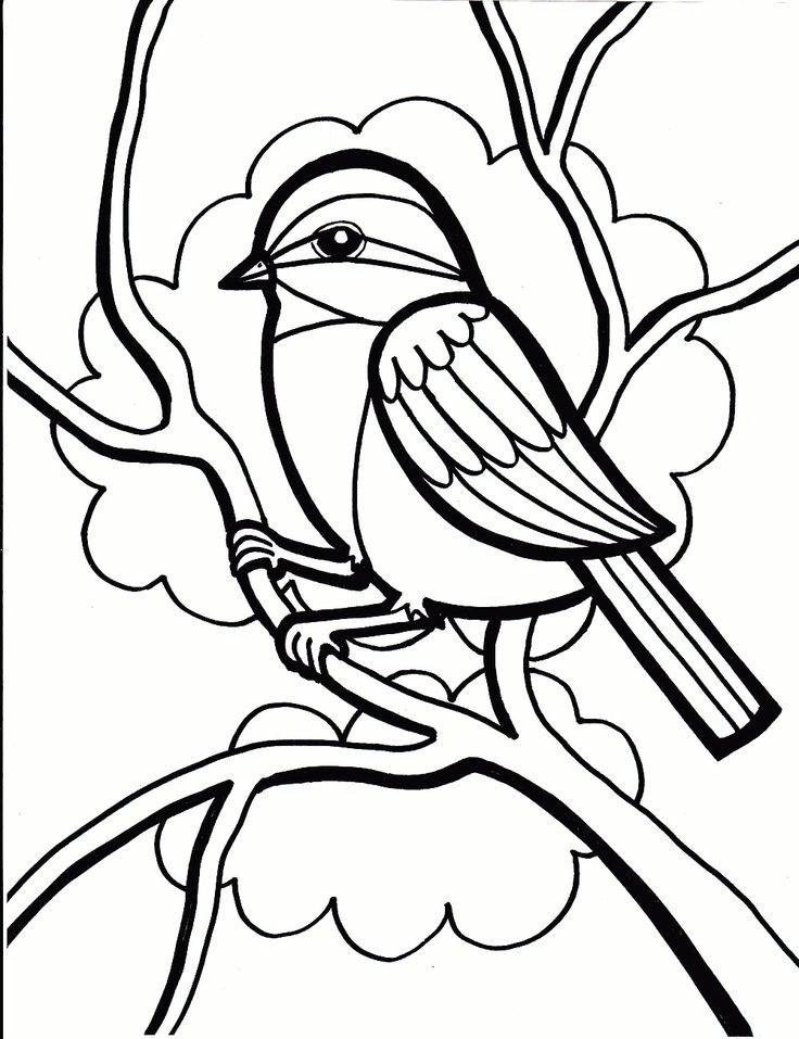 736x957 Luxury Cardinal Coloring Page Coloring Ws