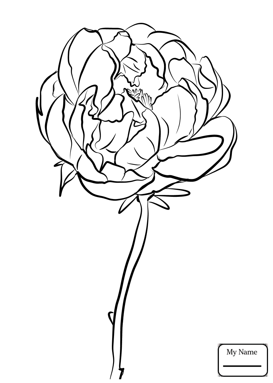 874x1224 This Is Why Cardinal Coloring Page Is So Famous! Cardinal