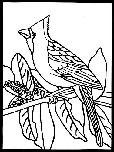 376x500 Coloring Page Of A Cardinal Bird Cardinal Coloring Pages