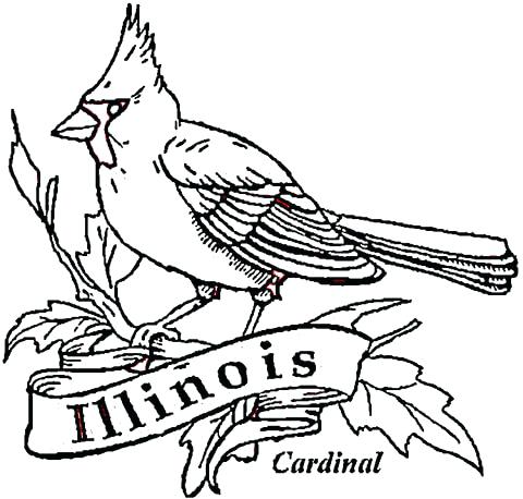 480x458 Coloring Pages For Boys Picture Book Starfish Printable Cardinal