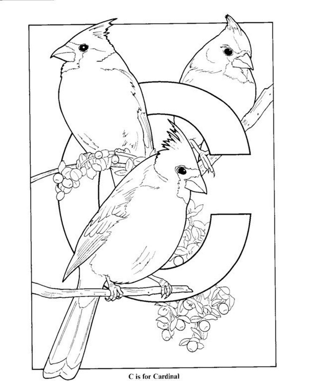 1065x1281 Unusualal Coloring Pages Northern Page For Kids Arizonaals