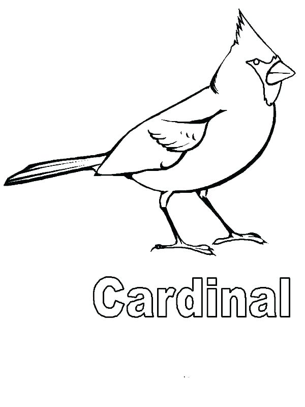 600x800 St Louis Cardinals Coloring Pages St Coloring Pages St Cardinals