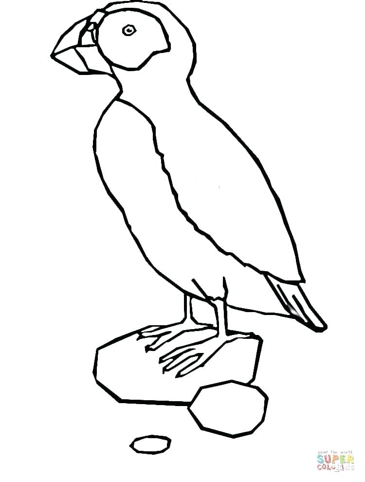 750x990 Puffin Coloring Page Cardinal Coloring Pages Cardinal Coloring