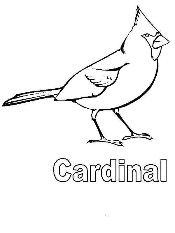 600x800 Cardinal Coloring Pages Coloring Pages Collection