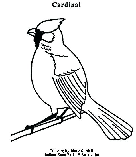 Cardinals Logo Coloring Pages at GetDrawings | Free download