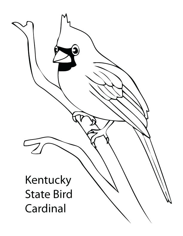 612x792 Cardinal Coloring Pages Cardinals Printable Ng Pages Birds