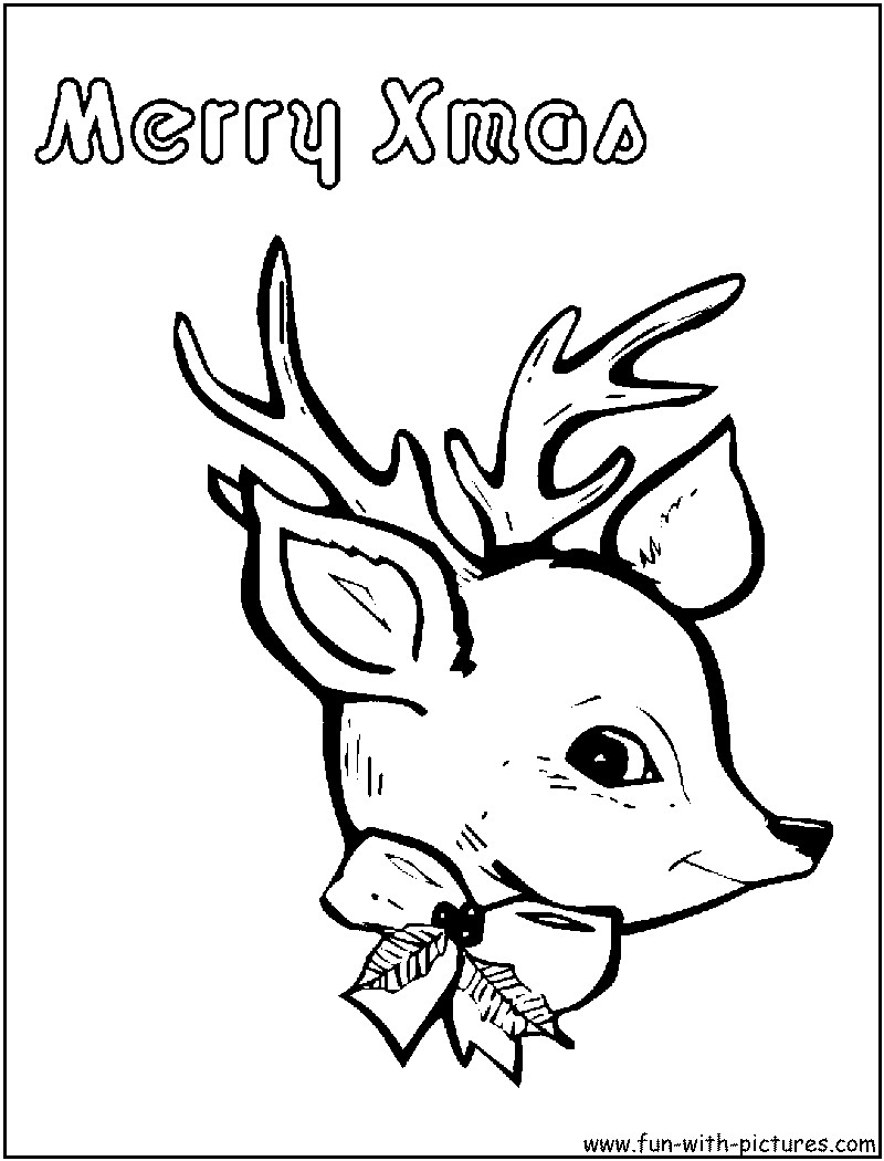 800x1050 Caribou Coloring Pages Yahoo Image Search Results Winter