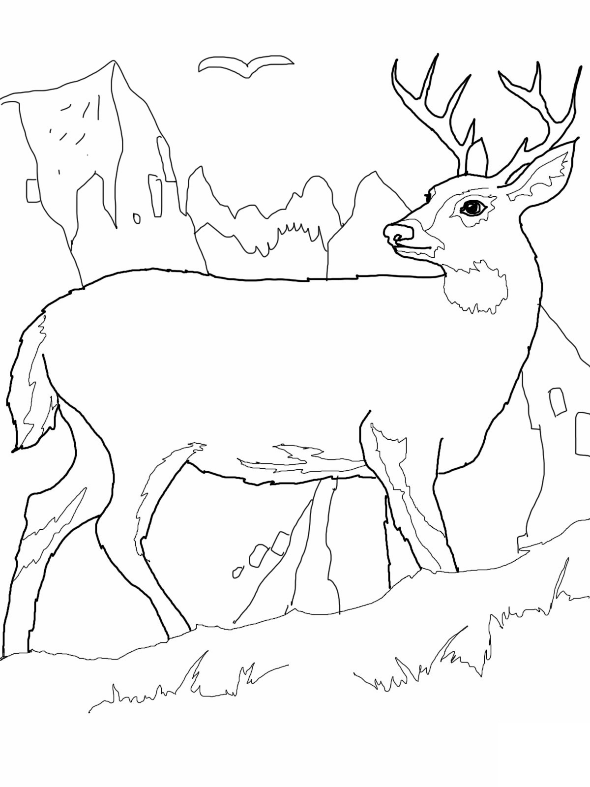1200x1600 Destiny Deer Colouring Pages Popular Coloring