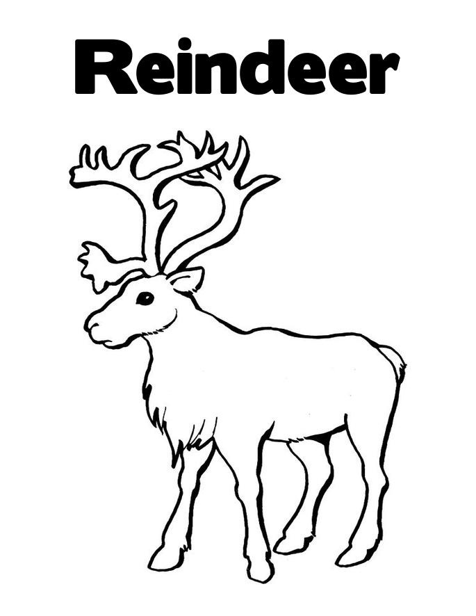 685x886 Reindeer Coloring Pages Inspirational Reindeer Caribou Coloring