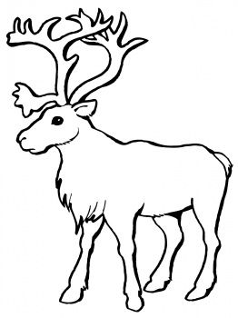 262x350 Top Free Printable Reindeer Coloring Pages Online Wild
